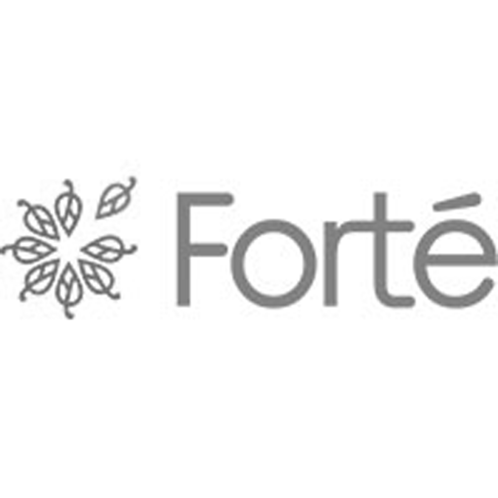 Forté Foundation